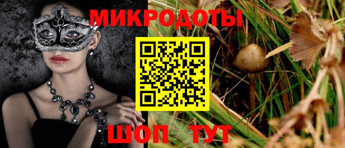Тюмень  Галлюциногенные грибы прущие грибы  Вход с VPN 