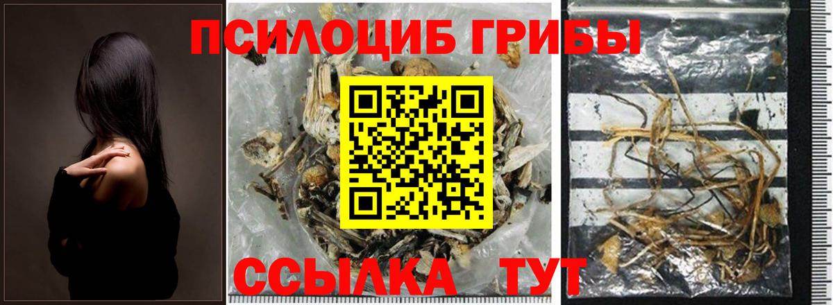 Галлюциногенные грибы Magic Shrooms Тюмень